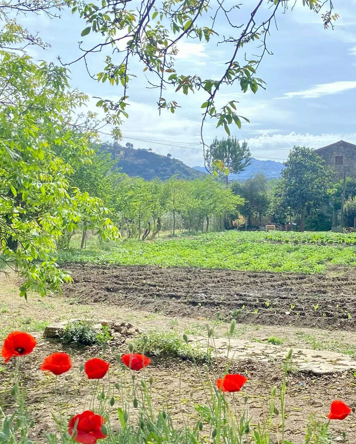 Friends, art &amp; mindfulness 🌸  at Quiet Space &gt; Ronda Andalusia 🇪🇸