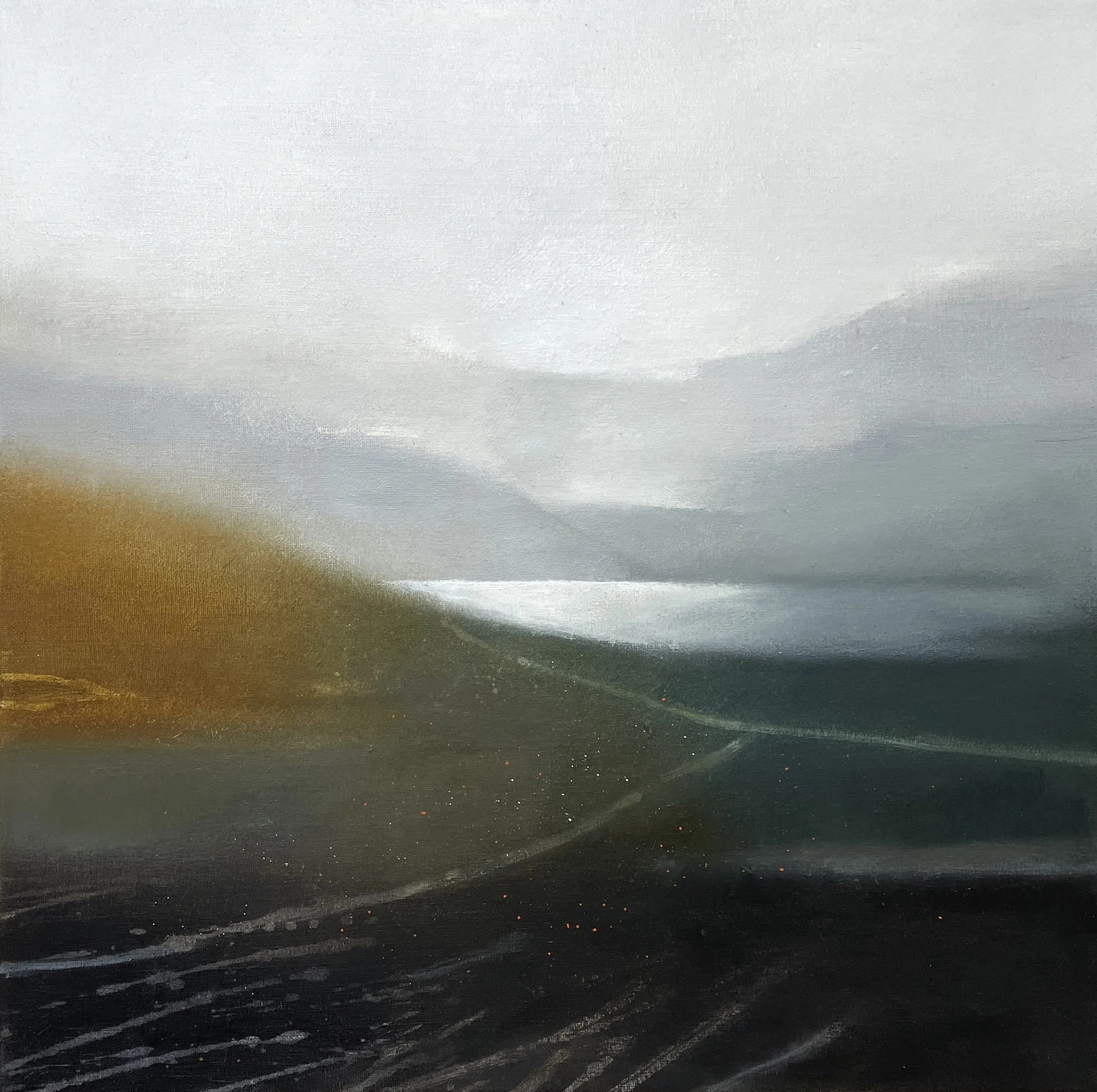  Wild Spaces 3 (Fire and ice) - 50x50cm 