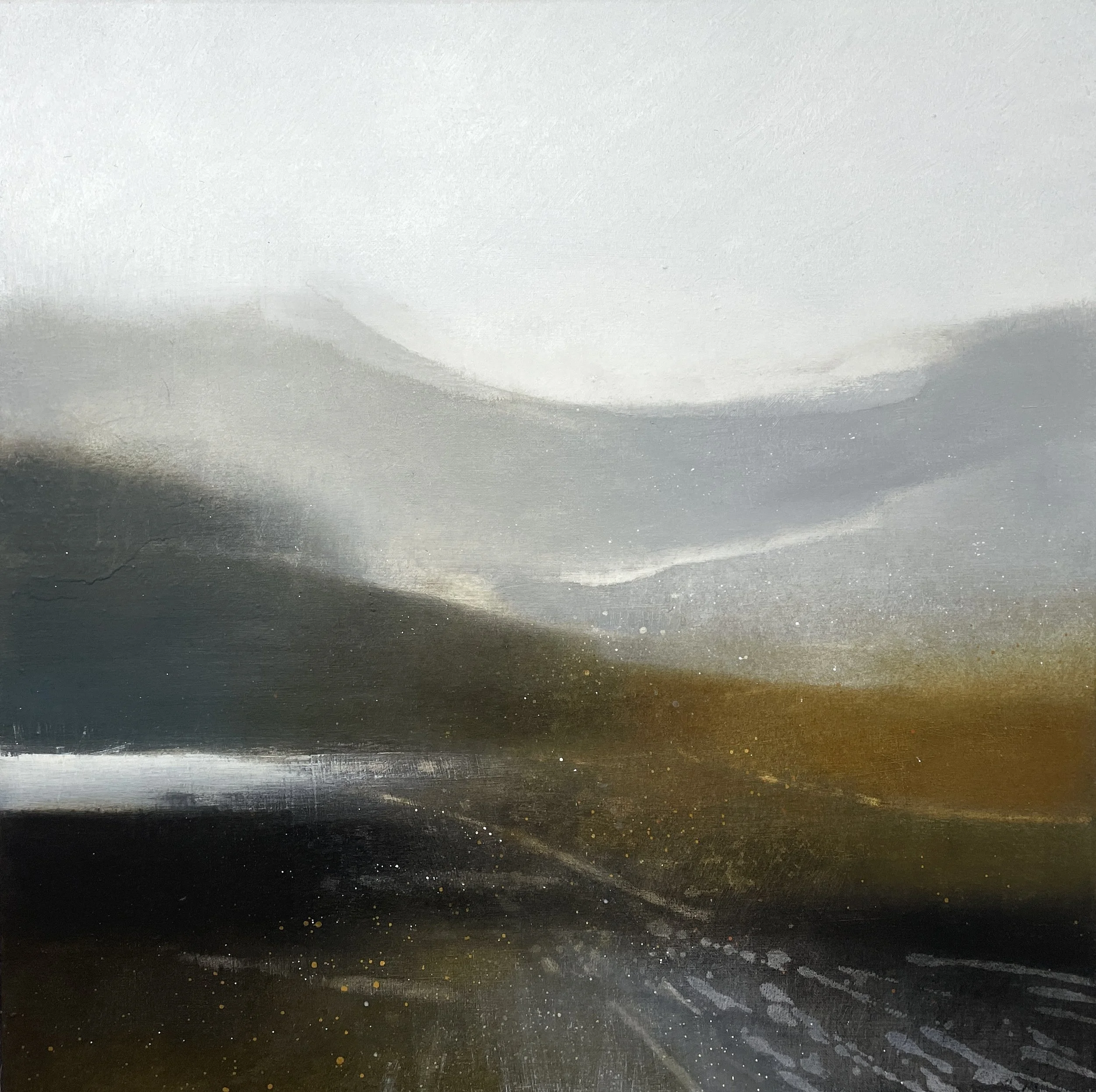  Wild Spaces 1 (Dark waters) - 50x50cm 