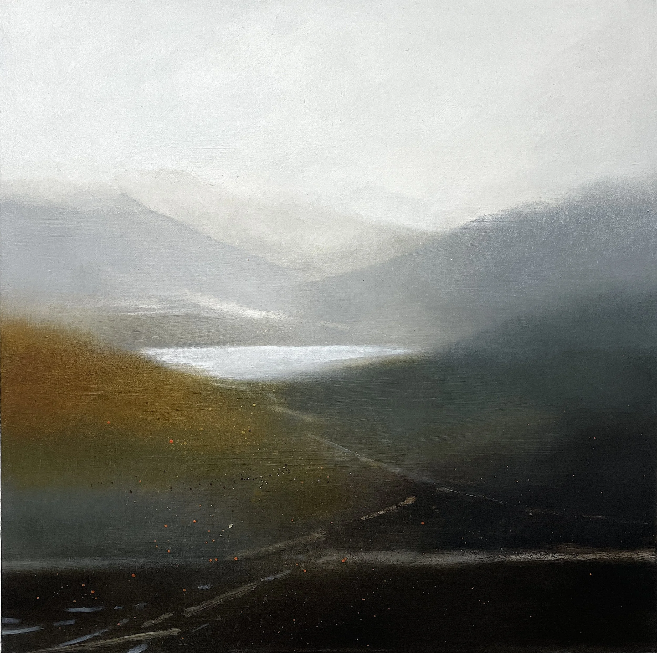  Wild Spaces 2 (Sensing the way) - 50x50cm 