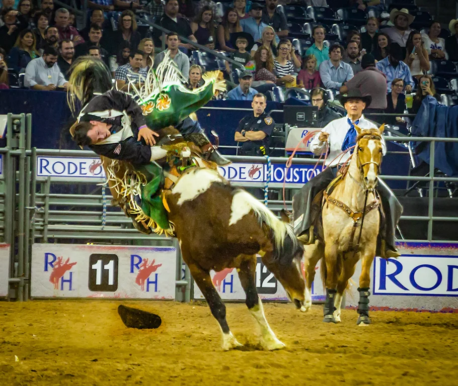 Bucked Off, Butch Spielman, Louisiana PS, 2nd HM