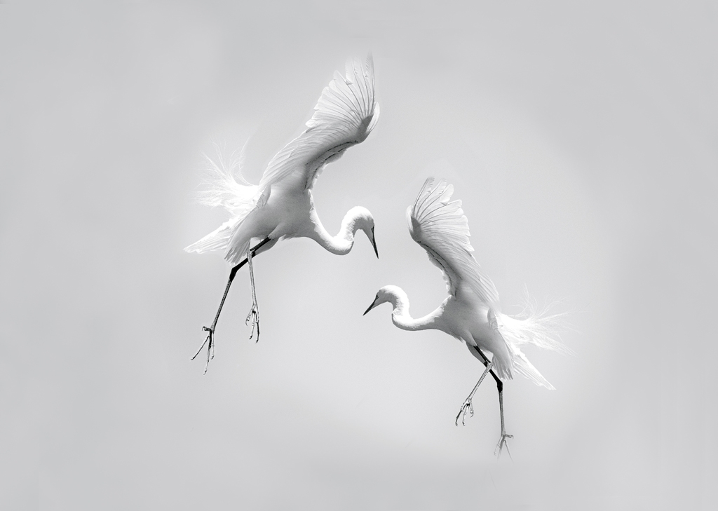 Dancing in the Fog, Linda Medine, Louisiana PS, 3rd