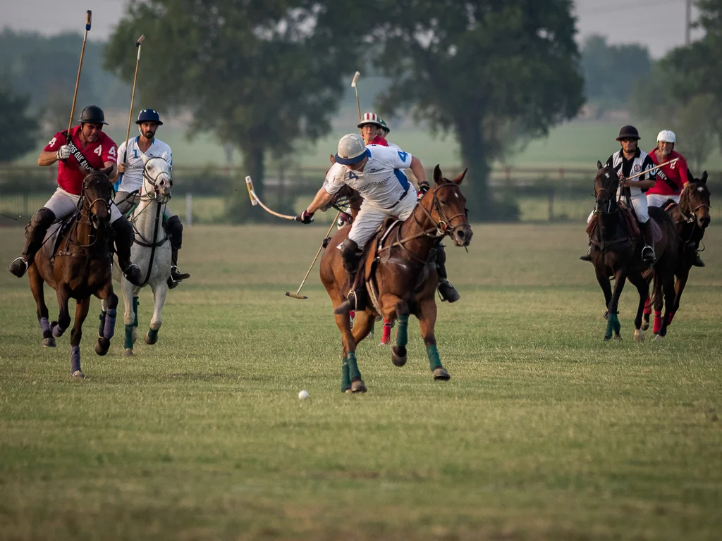Polo, Larry Petterborg, Dallas CC, 2nd HM