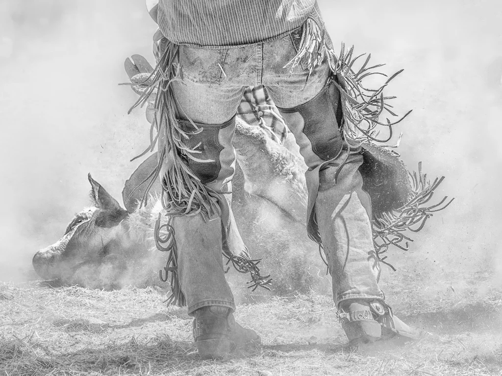 Kickin Up Dust, Alan Whiteside, Dallas CC, 1st Place
