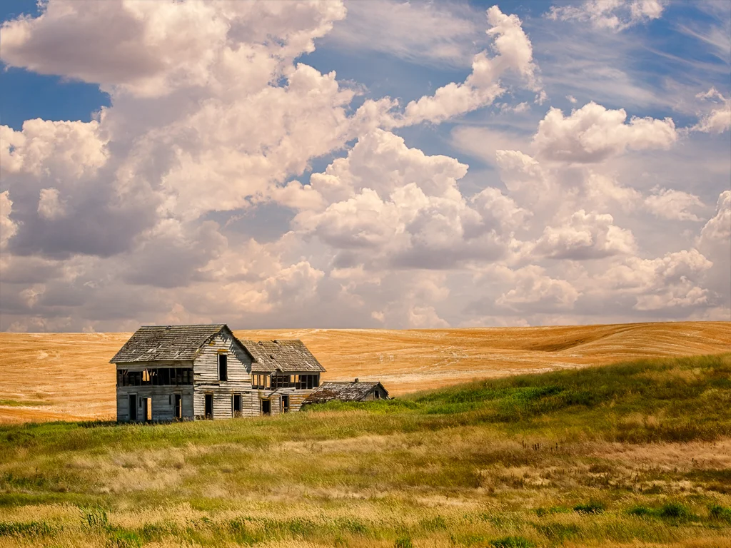 Nobody's Home, Alan Whiteside, Dallas CC, 3rd Place