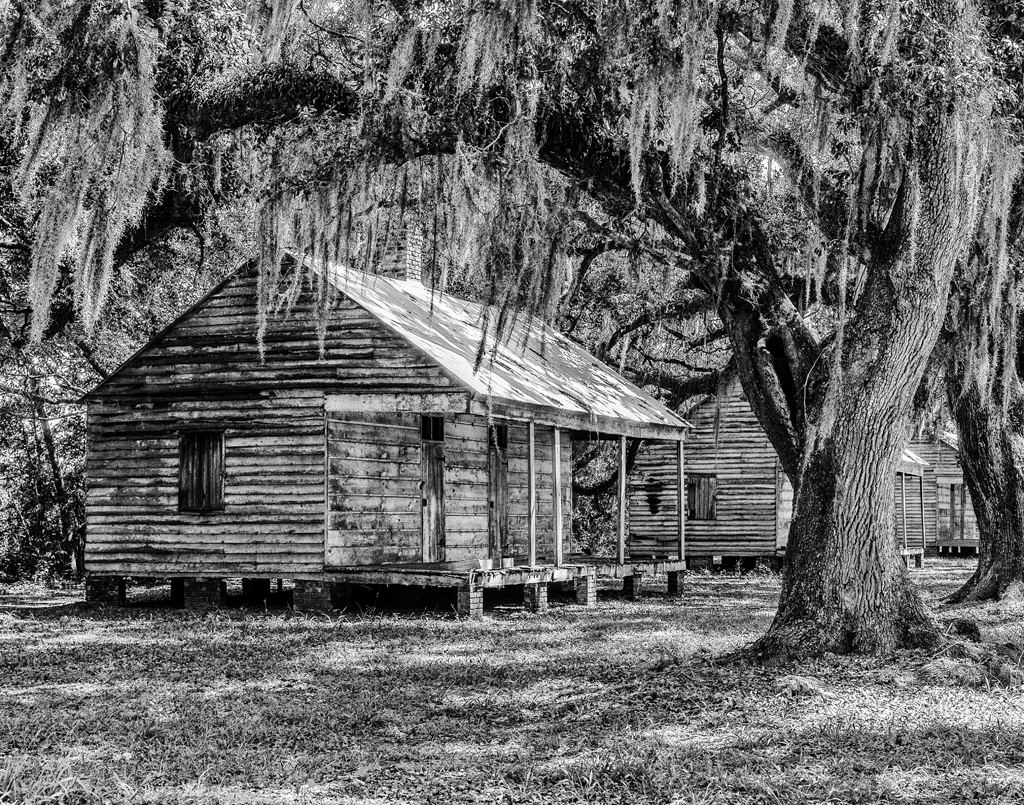 Evergreen Slave Cabins, Barry Lamia,  GNOCC, 2nd HM