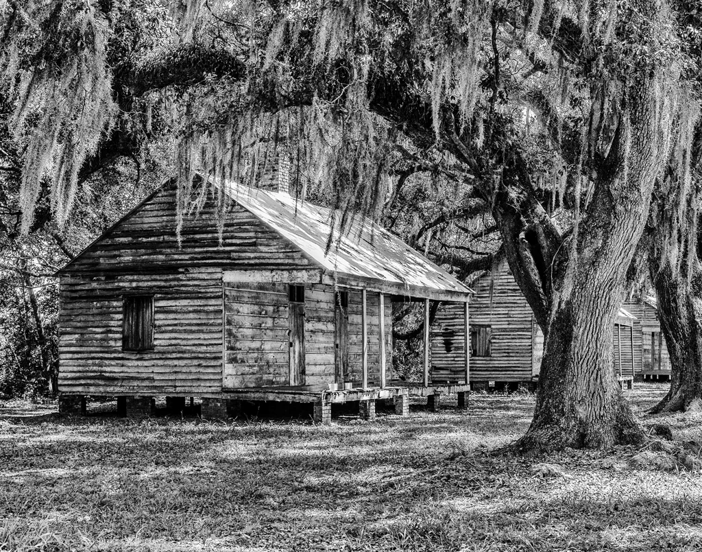 Evergreen Slave Cabins, Barry Lamia, GNOCC, 2nd HM