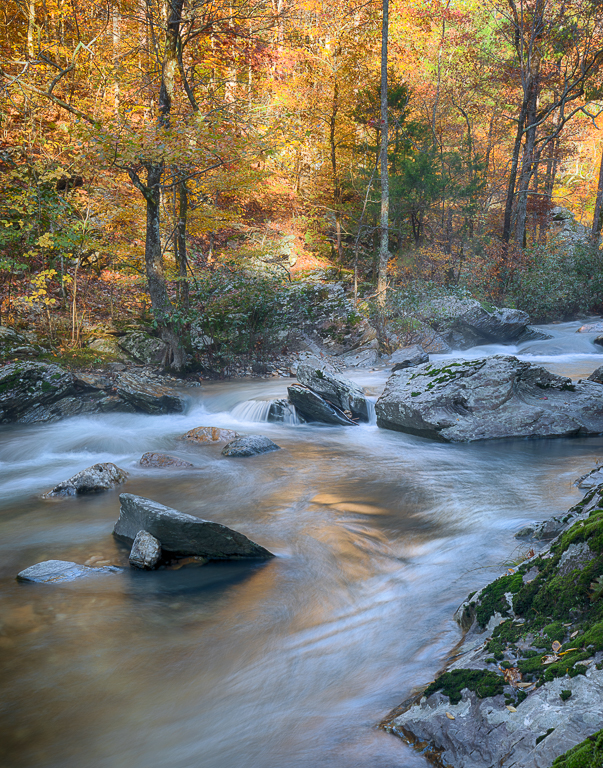 Water Music, Sharon Prislipsky,  National Park PC, 1st Place