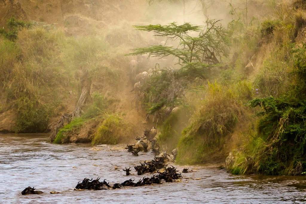 48 -The Crossing .jpg