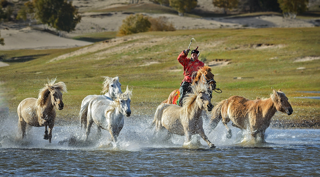  Running Horses in Mongolia, Ron Lin, Plano PC, 1st HM 