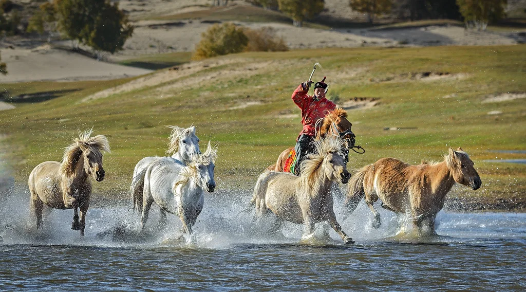 Running Horses in Mongolia, Ron Lin, Plano PC, 1st HM