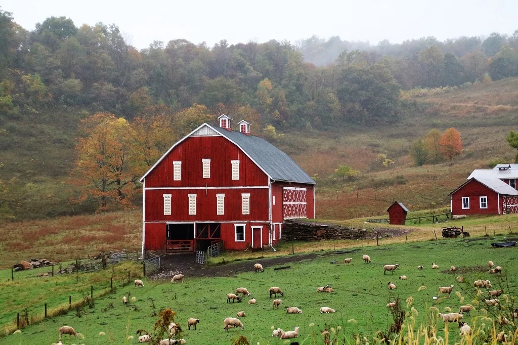 201819 Year End Winners — Gulf States Camera Club Council