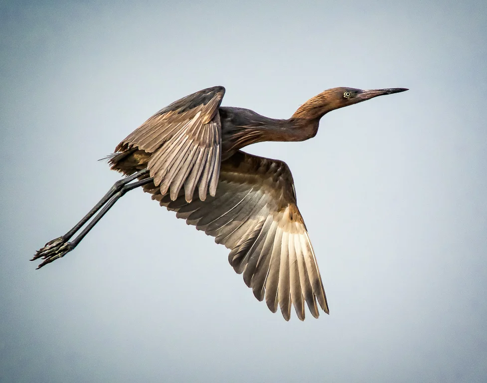 Up and Away, Sharon Prislipsky, National Park PC, 2nd HM