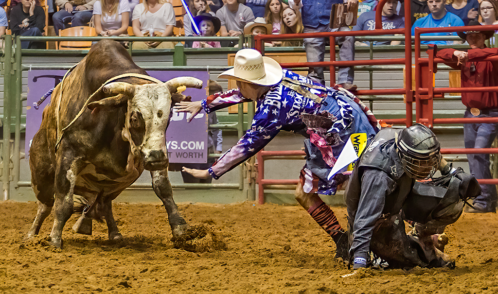 Stop Bull, Tom Savage,	Cowtown CC, 2nd