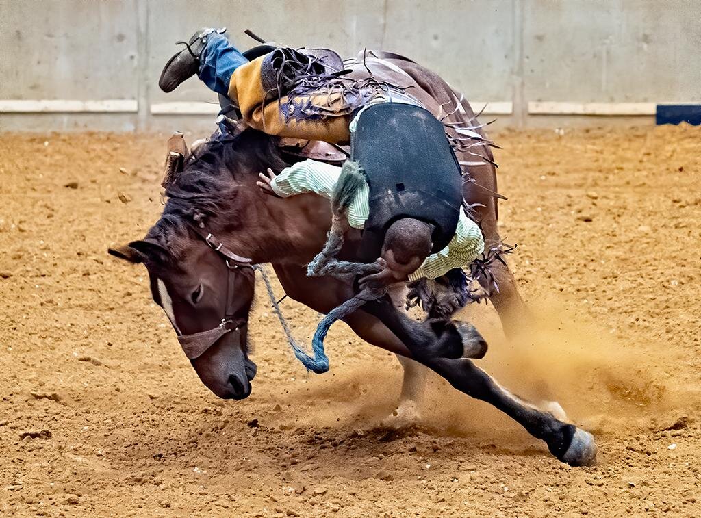 Head First Off a Sliding Horse, Tom Savage, Cowtown CC, 2nd Place