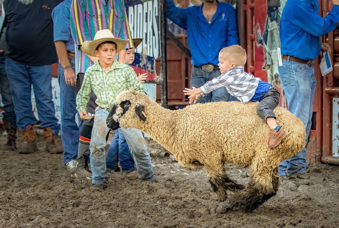 It'l Be Fun They Said, John Scott, Beaumont Camera Club, First Place