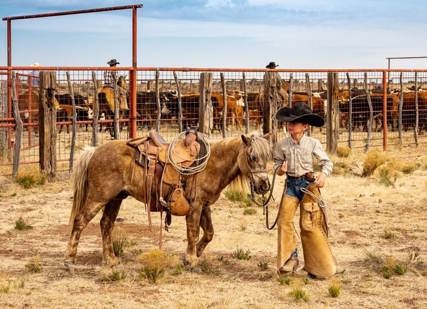His Time Will Come, Larry Petterborg, Dallas Camera Club, 1HM