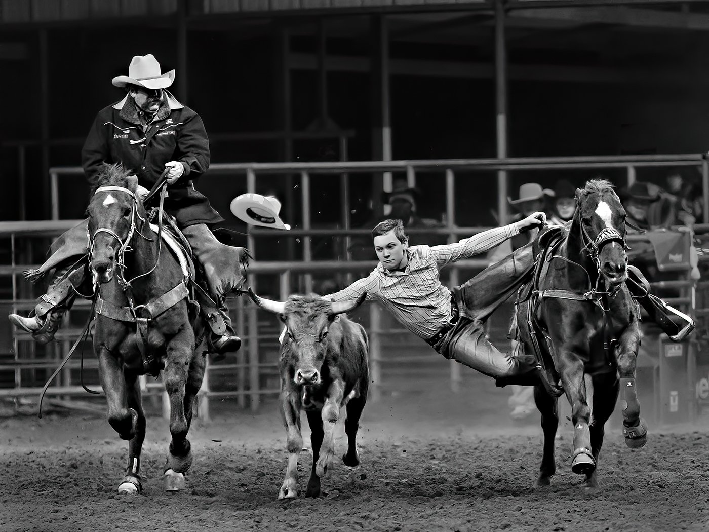 Jumping for the Steer,Tom Savage, Cowtown Camera Club,2nd