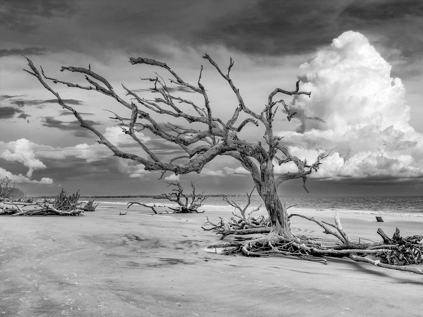 Driftwood Beach, Gene Bachman, Louisiana Photographic Society, 2 HM