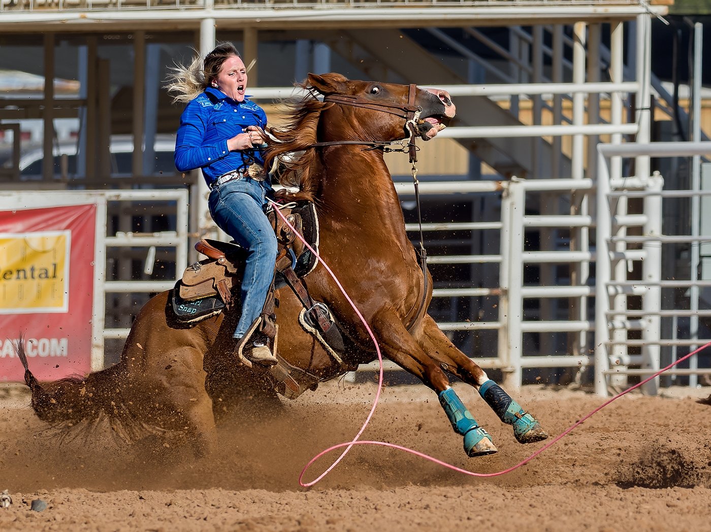 Bad Word After a Miss, Tom Savage, Cowtown Camera Club,	1st Place