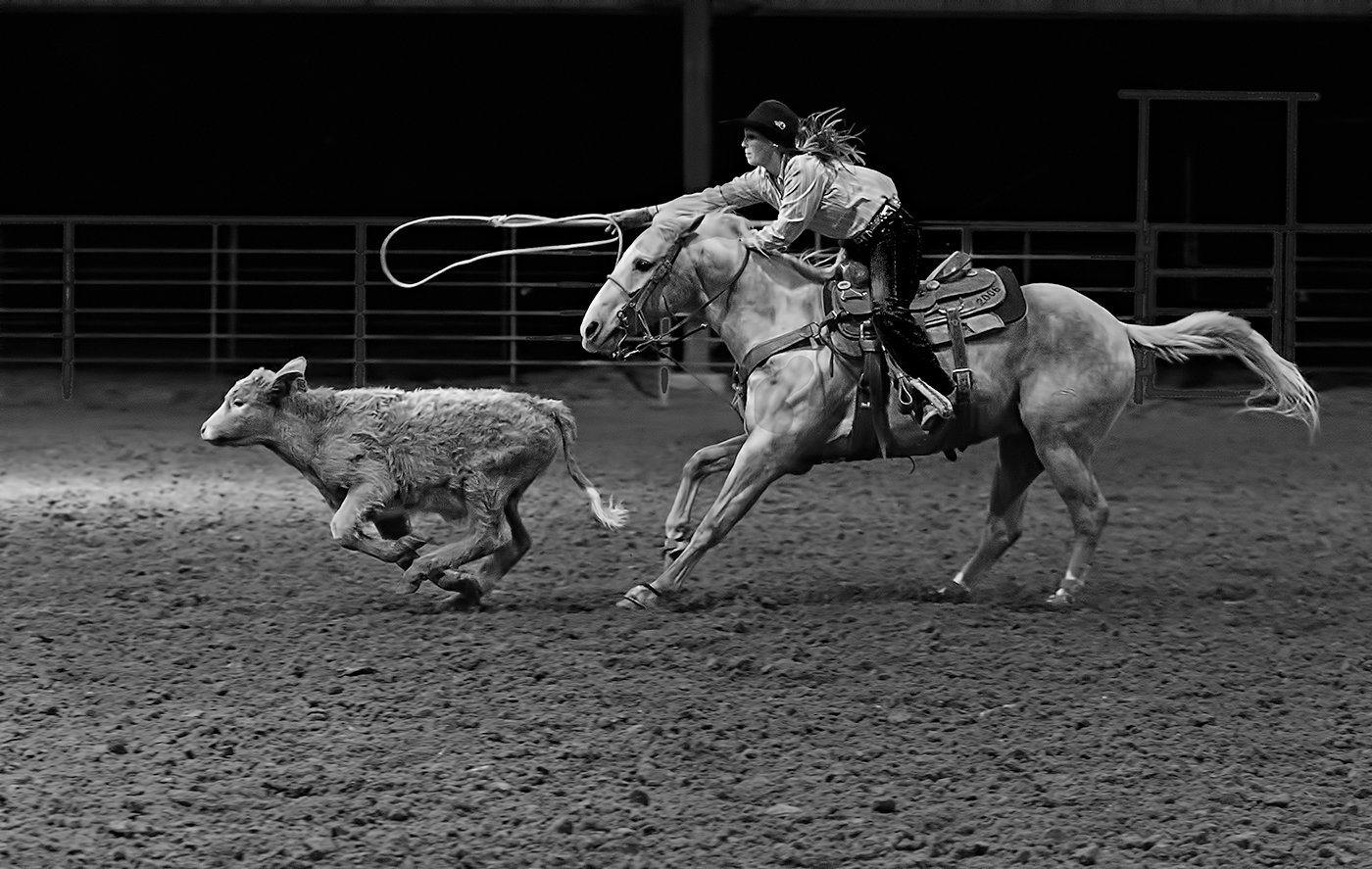 Cowgirl Roping a Calf, Tom Savage, Cowtown Camera Club,	2nd HM	