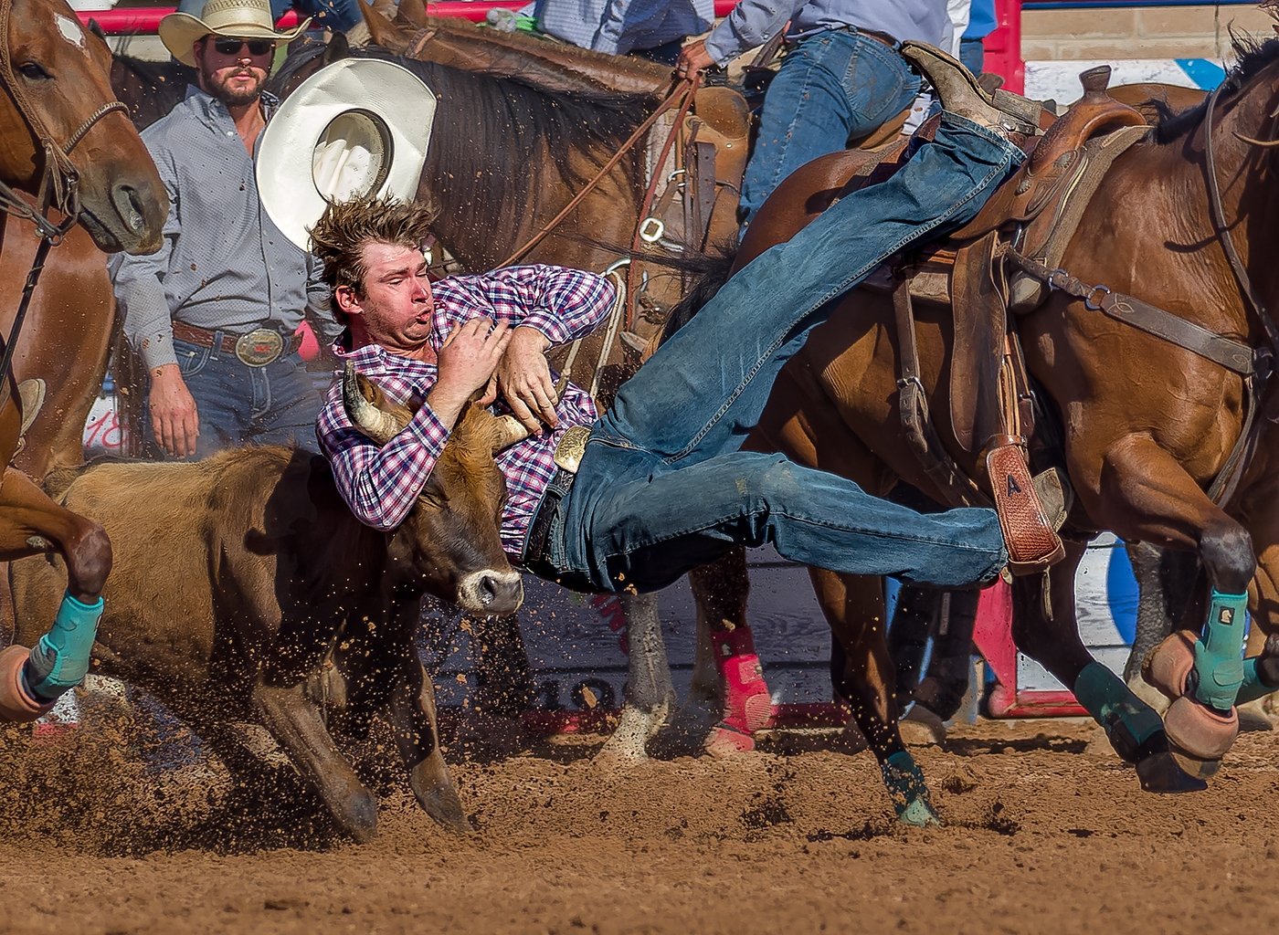 Puff Cheeks and Close Eyes, Tom	Savage, Cowtown Camera Club, 2nd Place