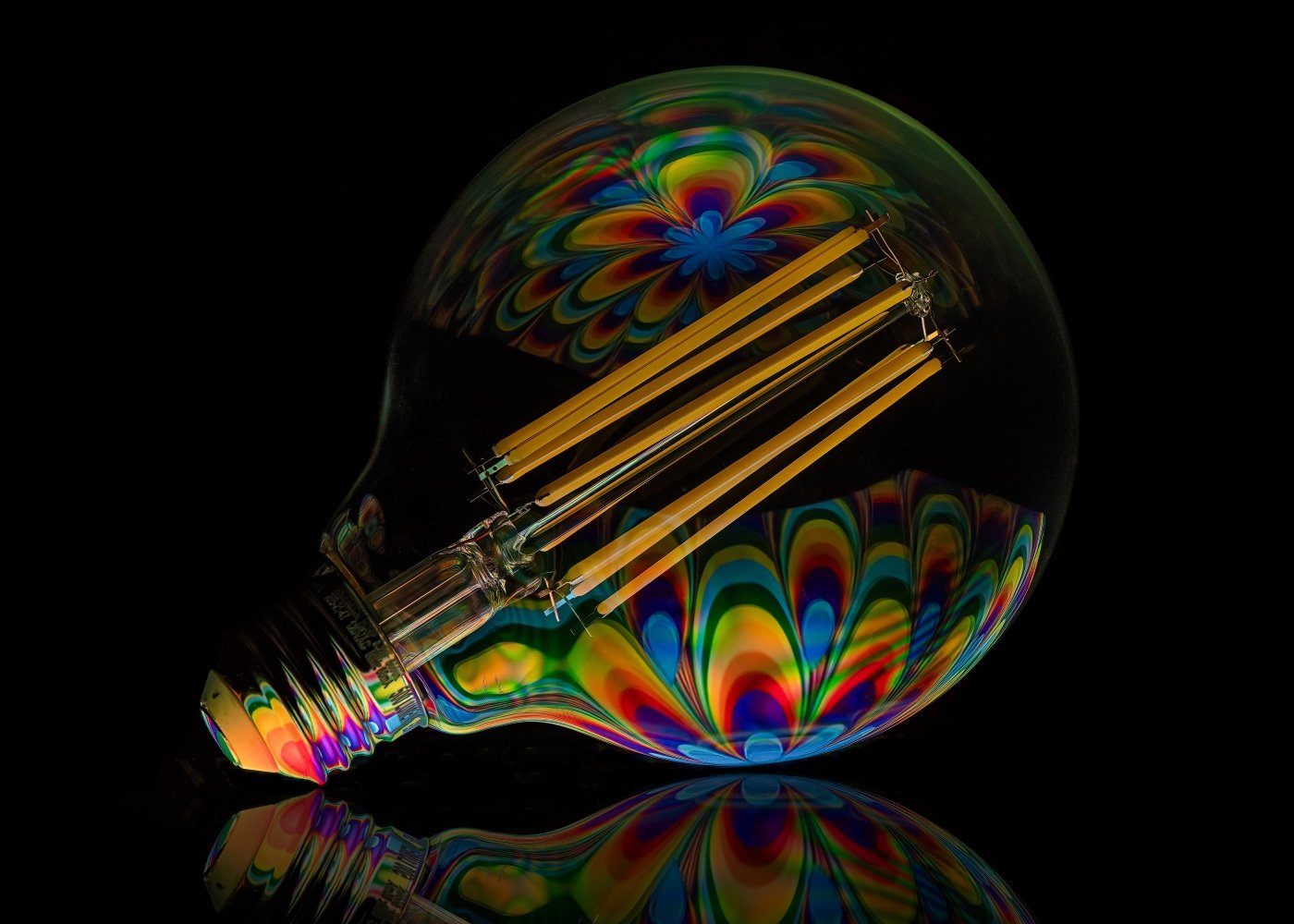 Flower Bulb,Tammie Simon,Lafayette Photographic Society,1st Place	