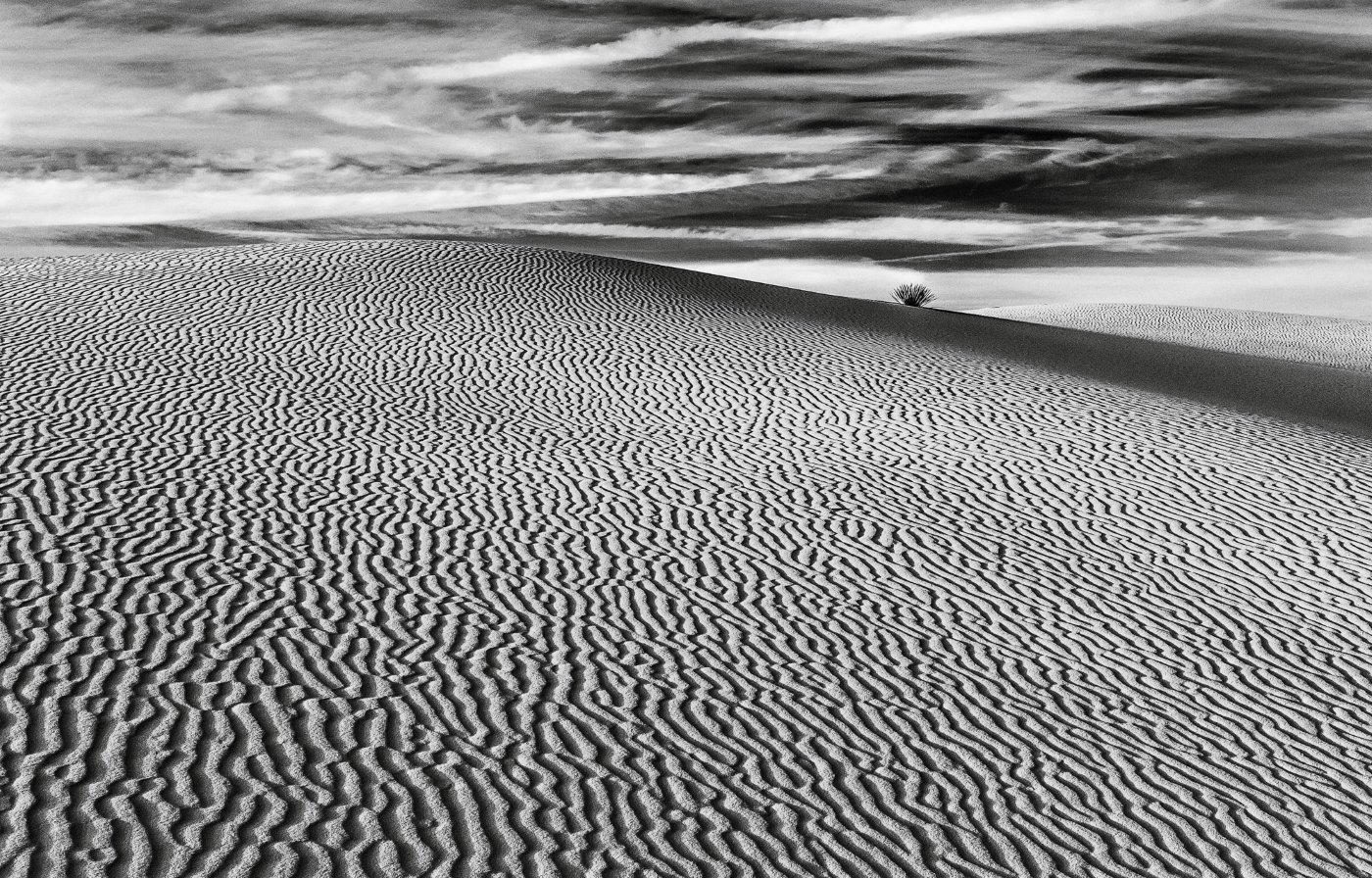 White Sands Minimilism,	Ron Varley,Heard Nature Photography Club,2nd Place	