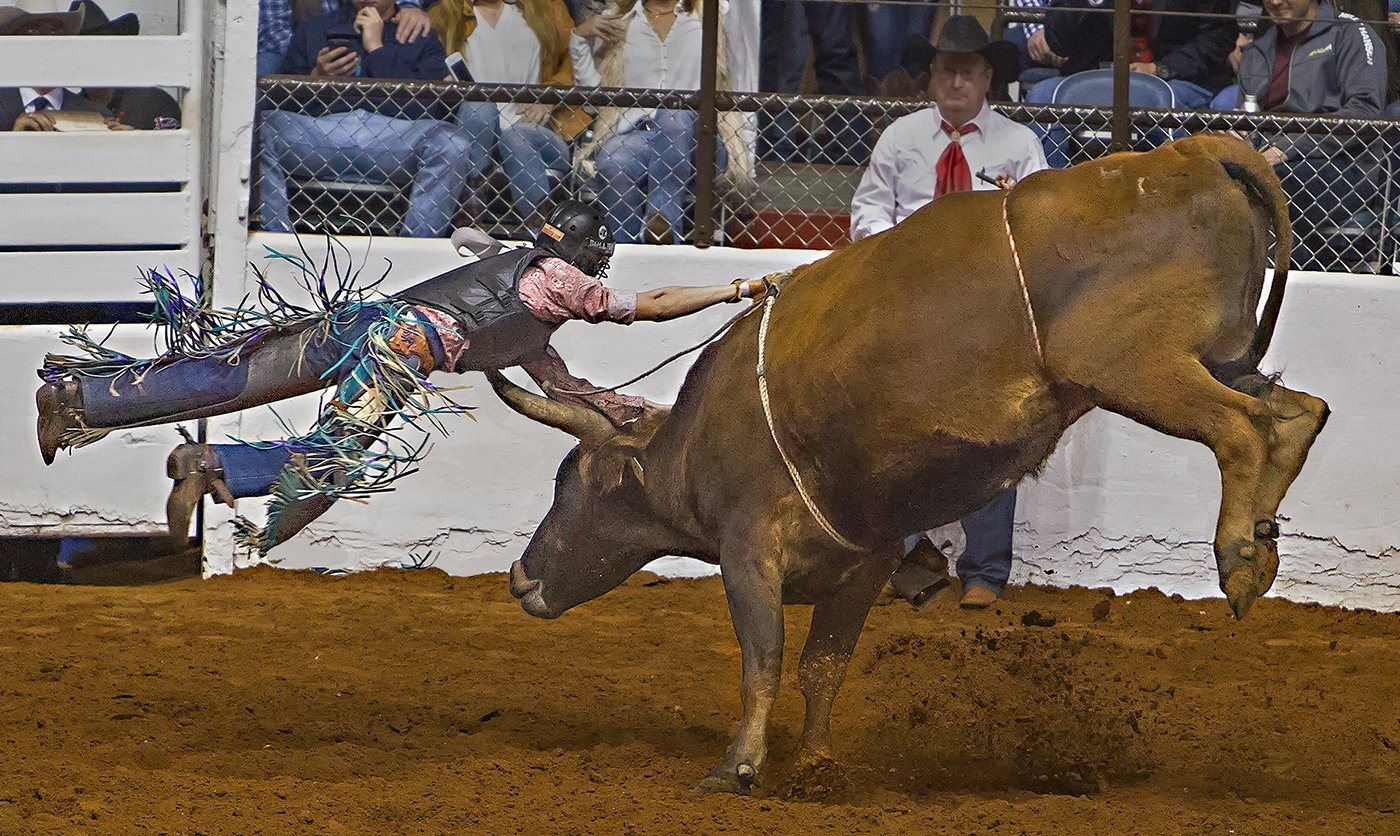 Over the Horns,Tom Savage,Cowtown Camera Club,2 HM		