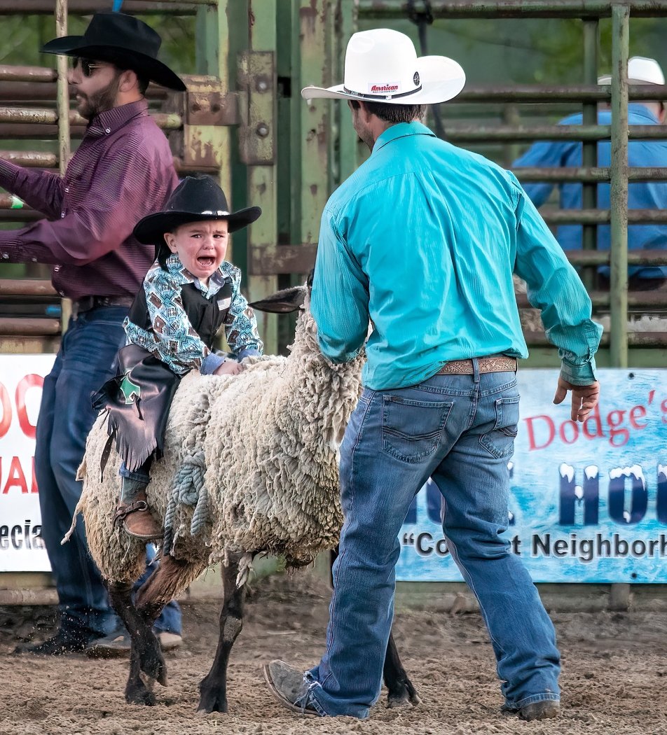 There's No Crying in Mutton Busting,Lynette Colgin,Lafayette Photographic Society,3rd Place