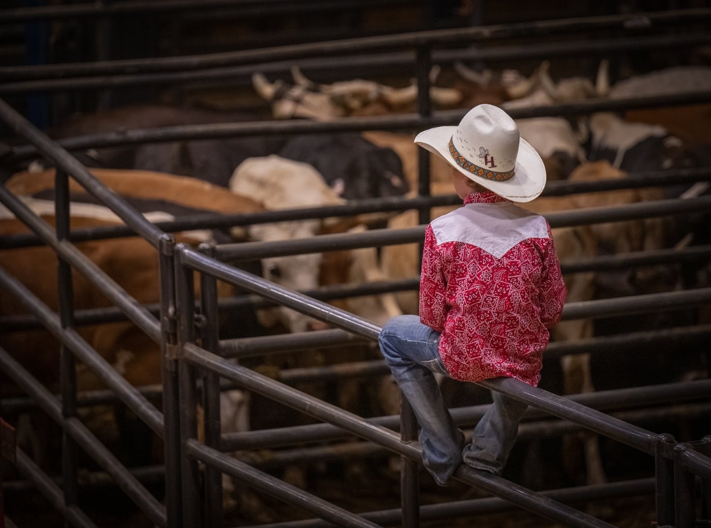 Growing Up at the Rodeo, Clinton Kemp, Dallas Camera Club, 3rd Place