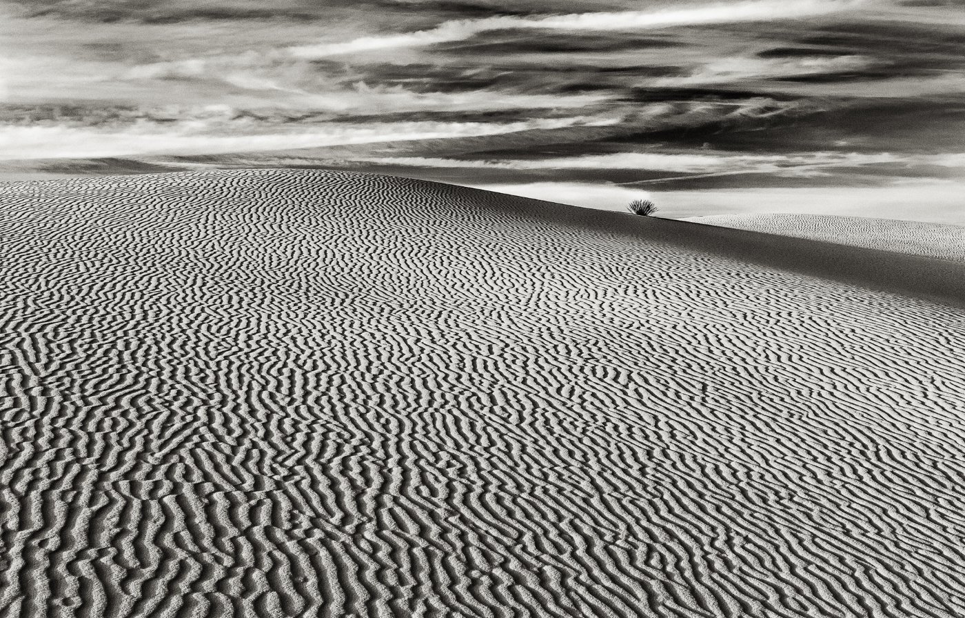 White Sands Minimalism,	Ron Varley, Heard Nature Photography Club, 2nd Place