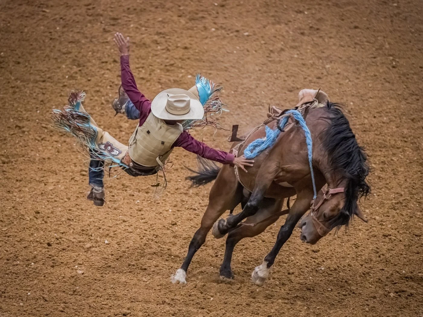 Flying Bronc Rider, Clinton Kemp, Dallas Camera Club, 1st Place