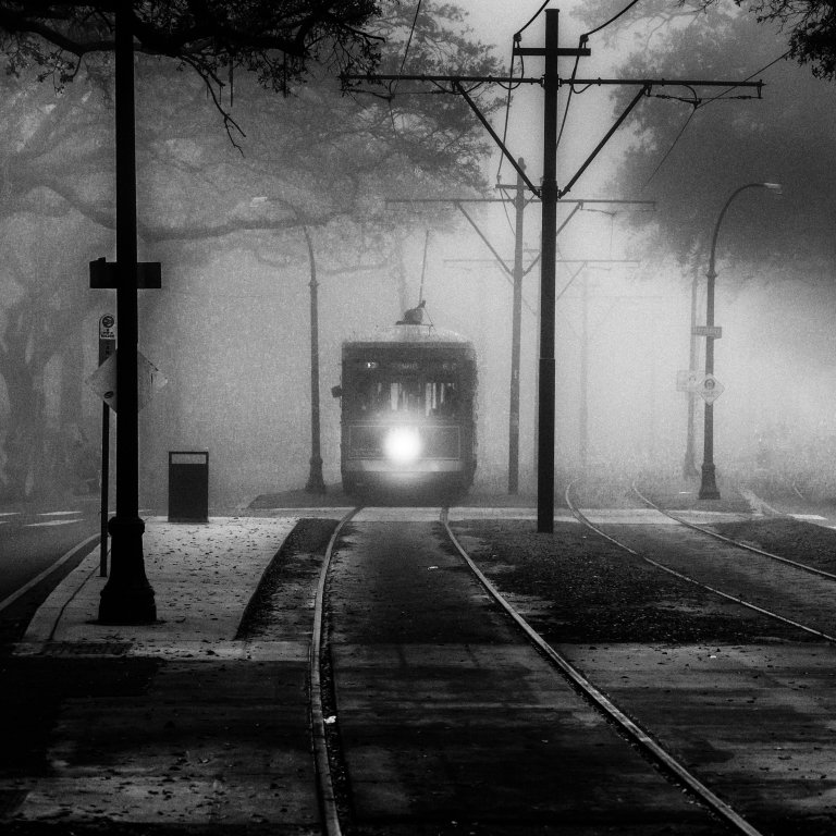 Foggy Morning, Christopher Merritt, Greater New Orleans Camera Club, 3rd Place