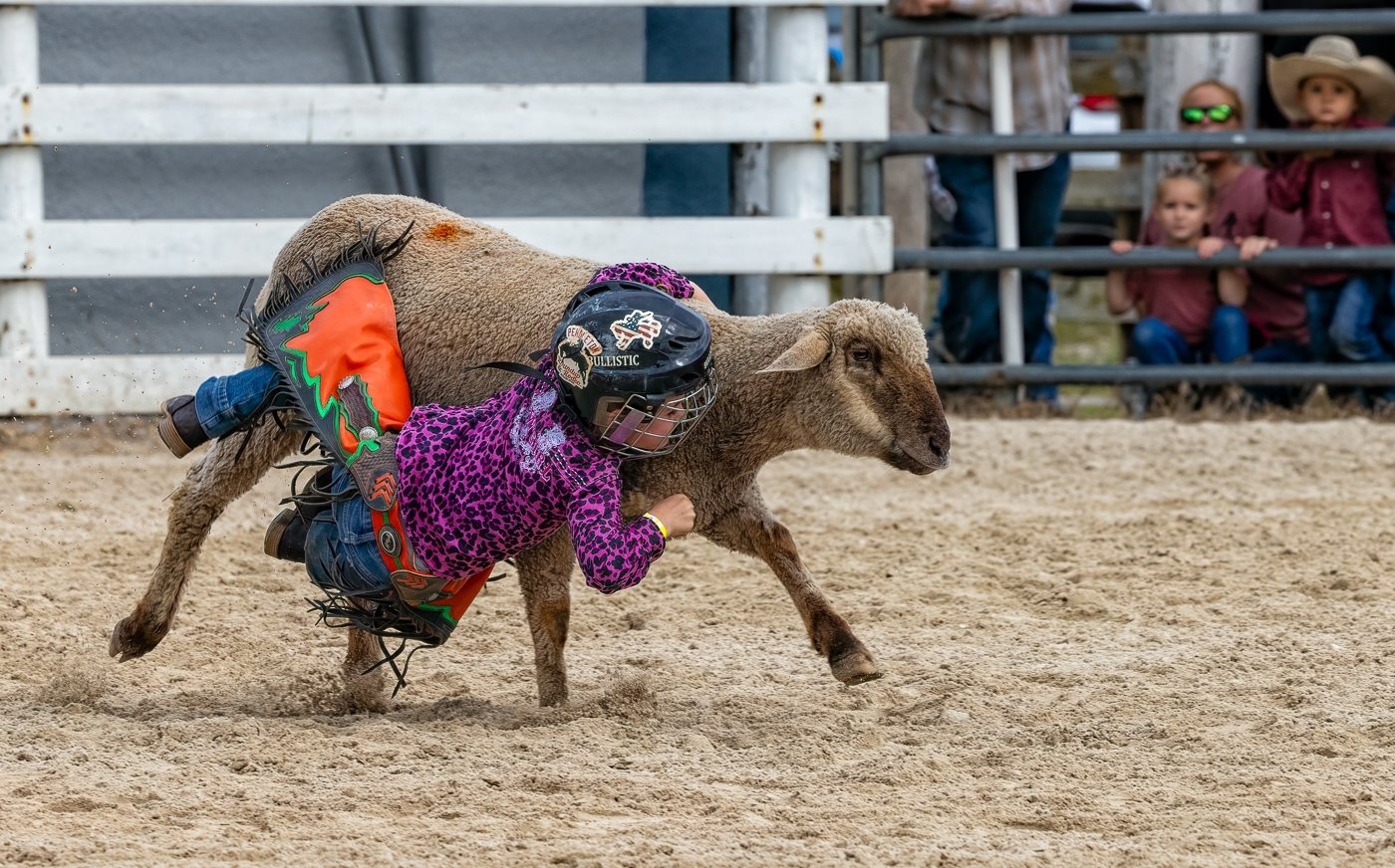 The Future of Rodeo, R Gary Butler, National Park Photography Club, 3rd Place