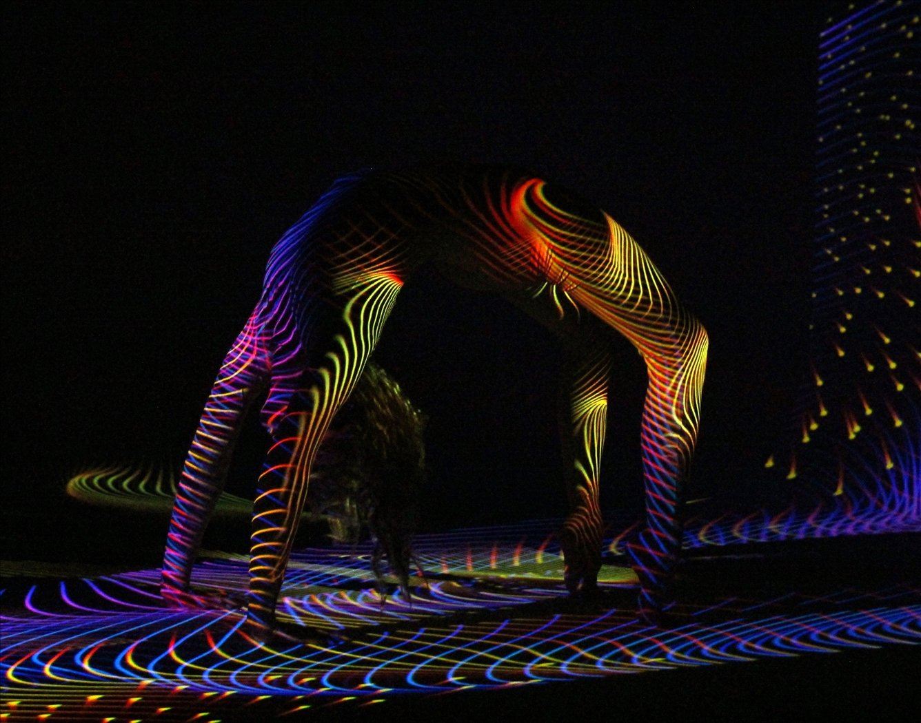 Bending Over Backwards, Jerry Schlesinger, Plano Photography Club,2 HM