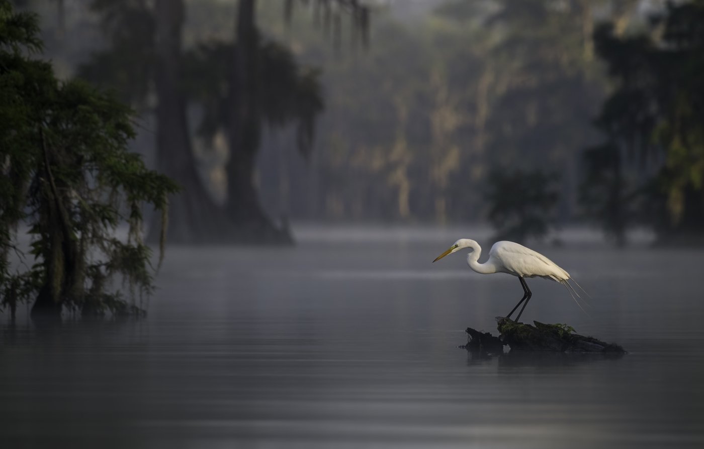 Early Morning On The Lake, Melany Musso, Lafayette Photographic Society, 1st Place
