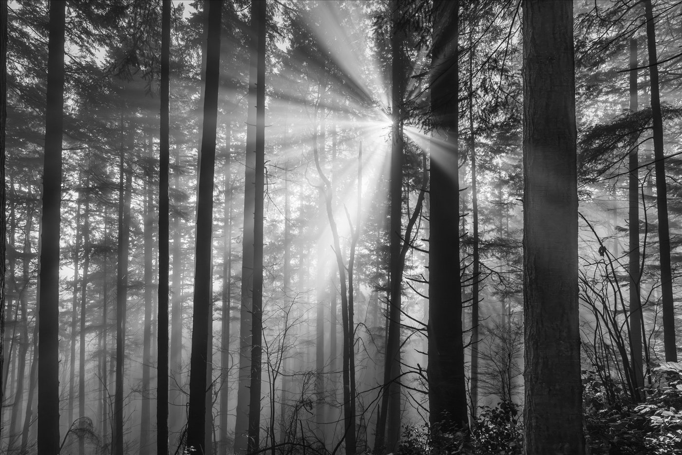 Breaking Through, Sanjay Kaul, Plano Photography Club, 2nd Place