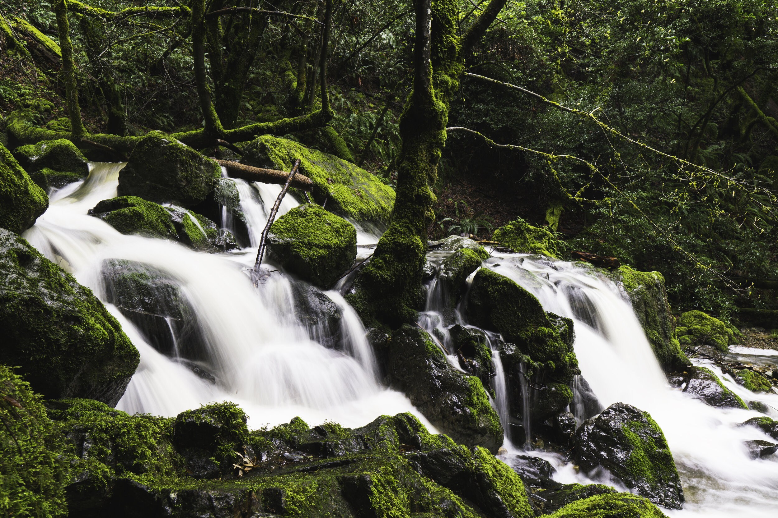 Long Exposure Cataract Over Mossy Rocks.jpg