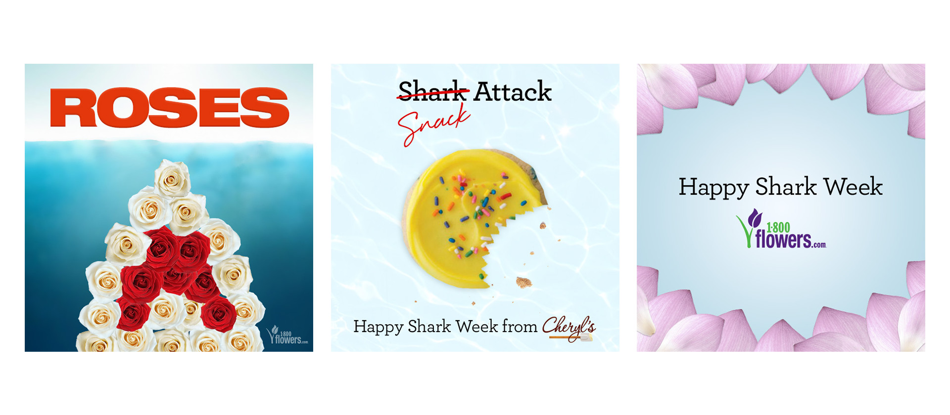 Examples of social content for 1-800-Flowers to celebrate Shark Week.