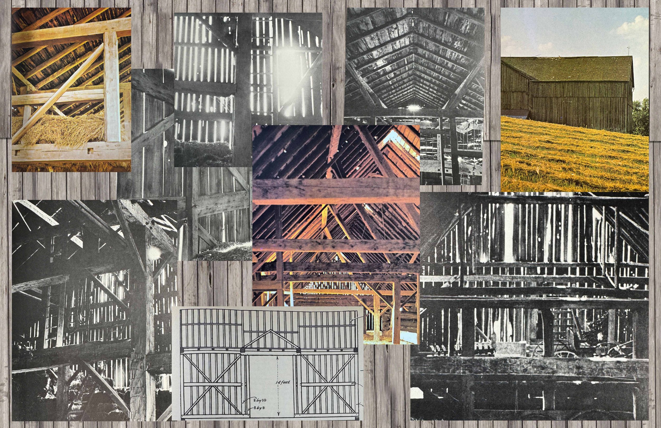 EF-Moodboard-2.jpg