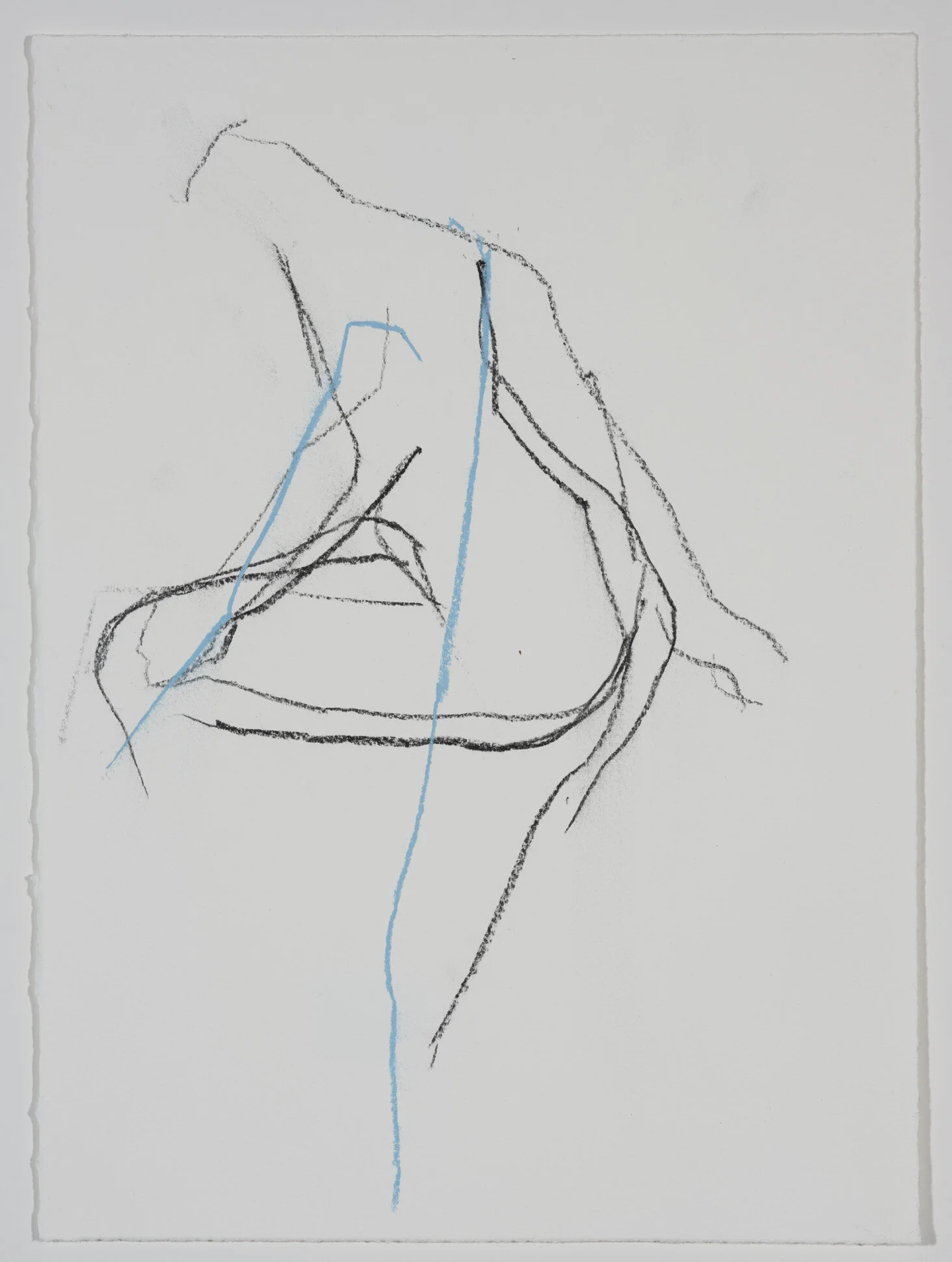 TS_D193_LowRes.jpg
