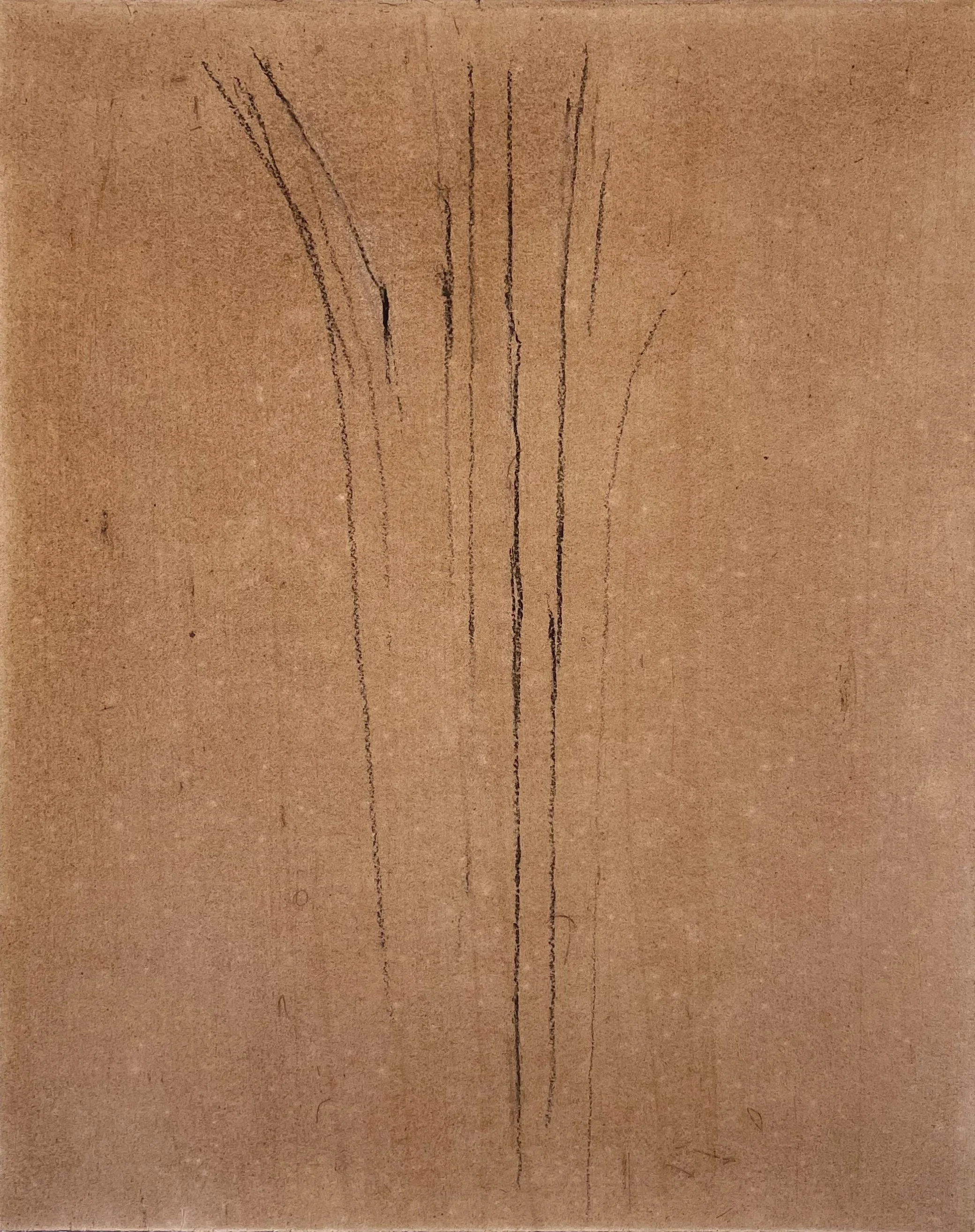 Untitled Drawing