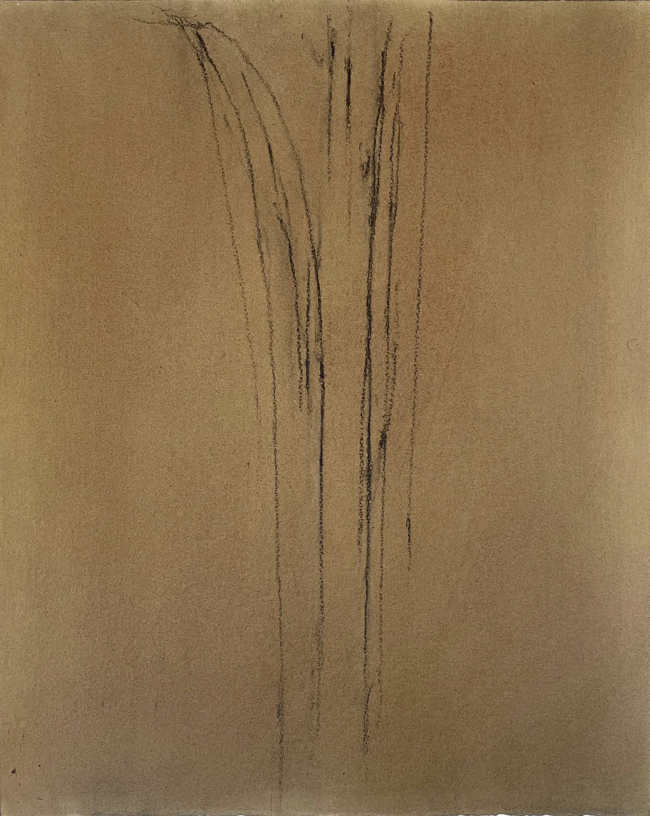 Untitled Drawing