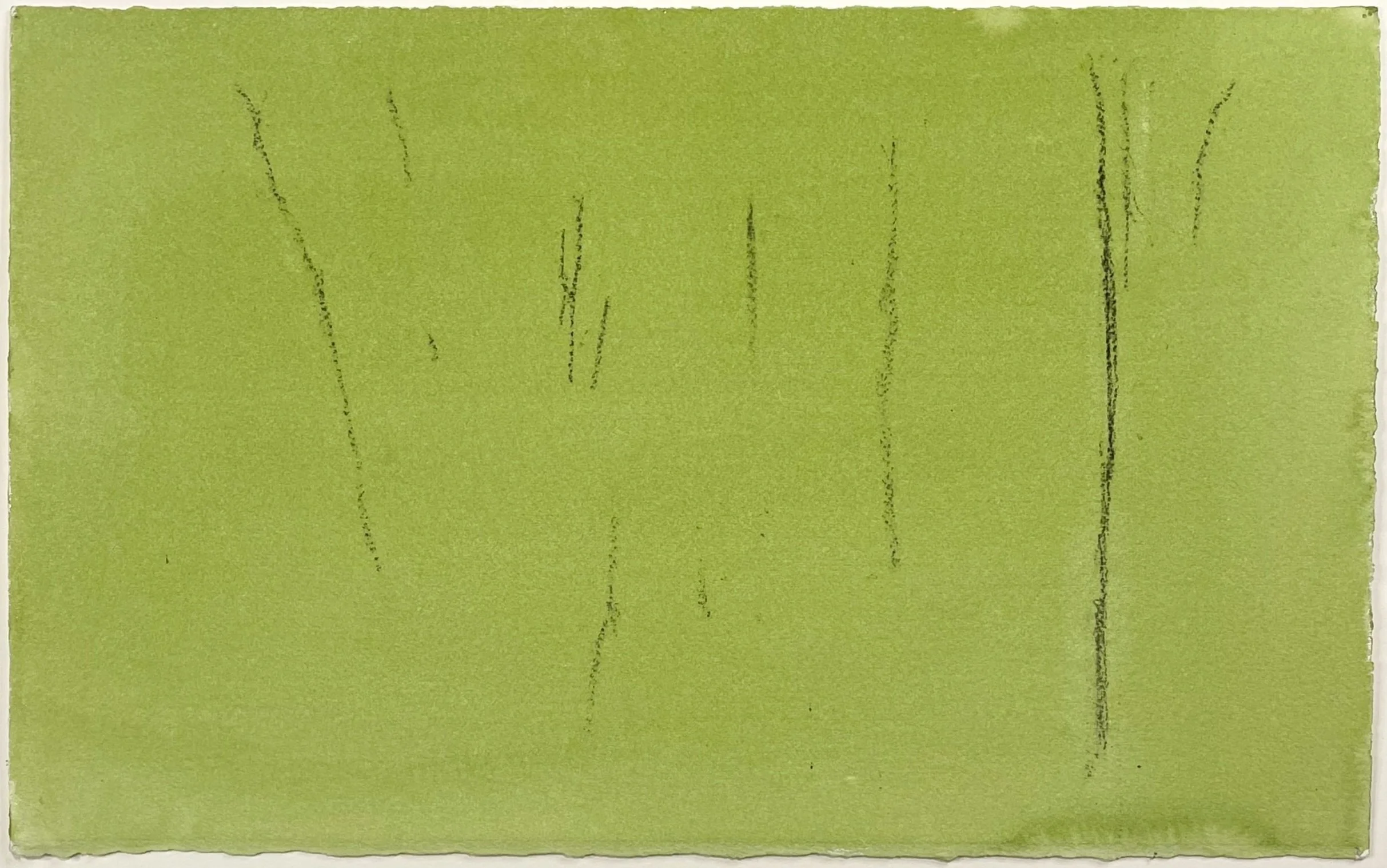 Mount Gretna Drawing 1