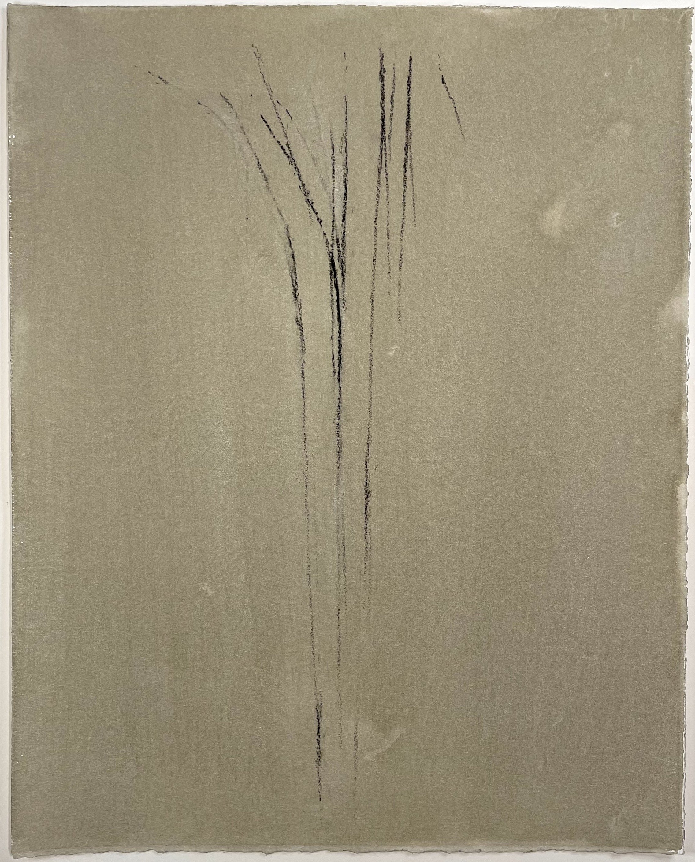 Untitled Drawing