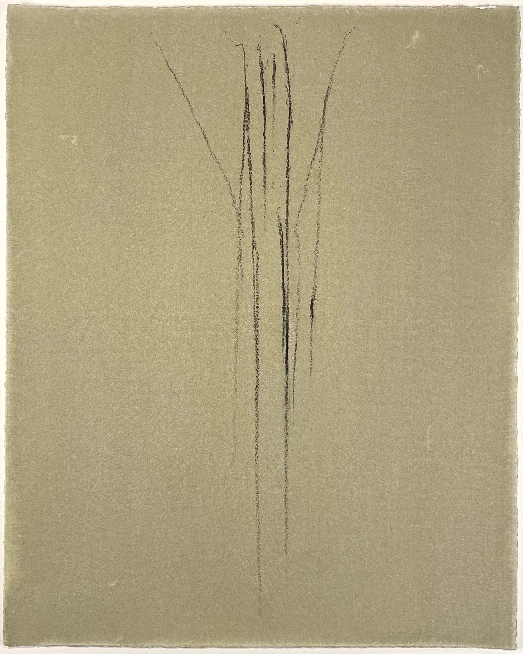Untitled Drawing