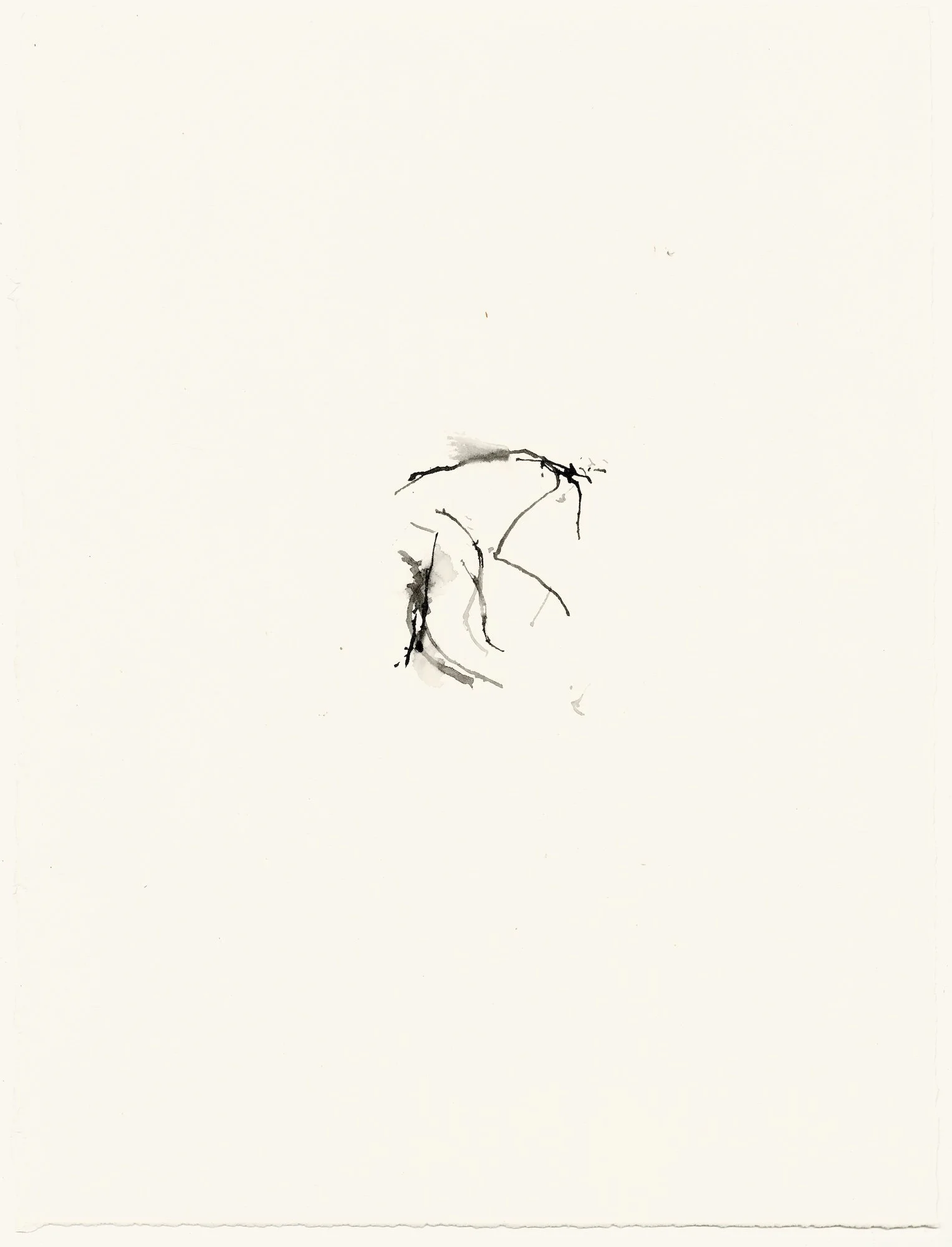 Untitled Drawing
