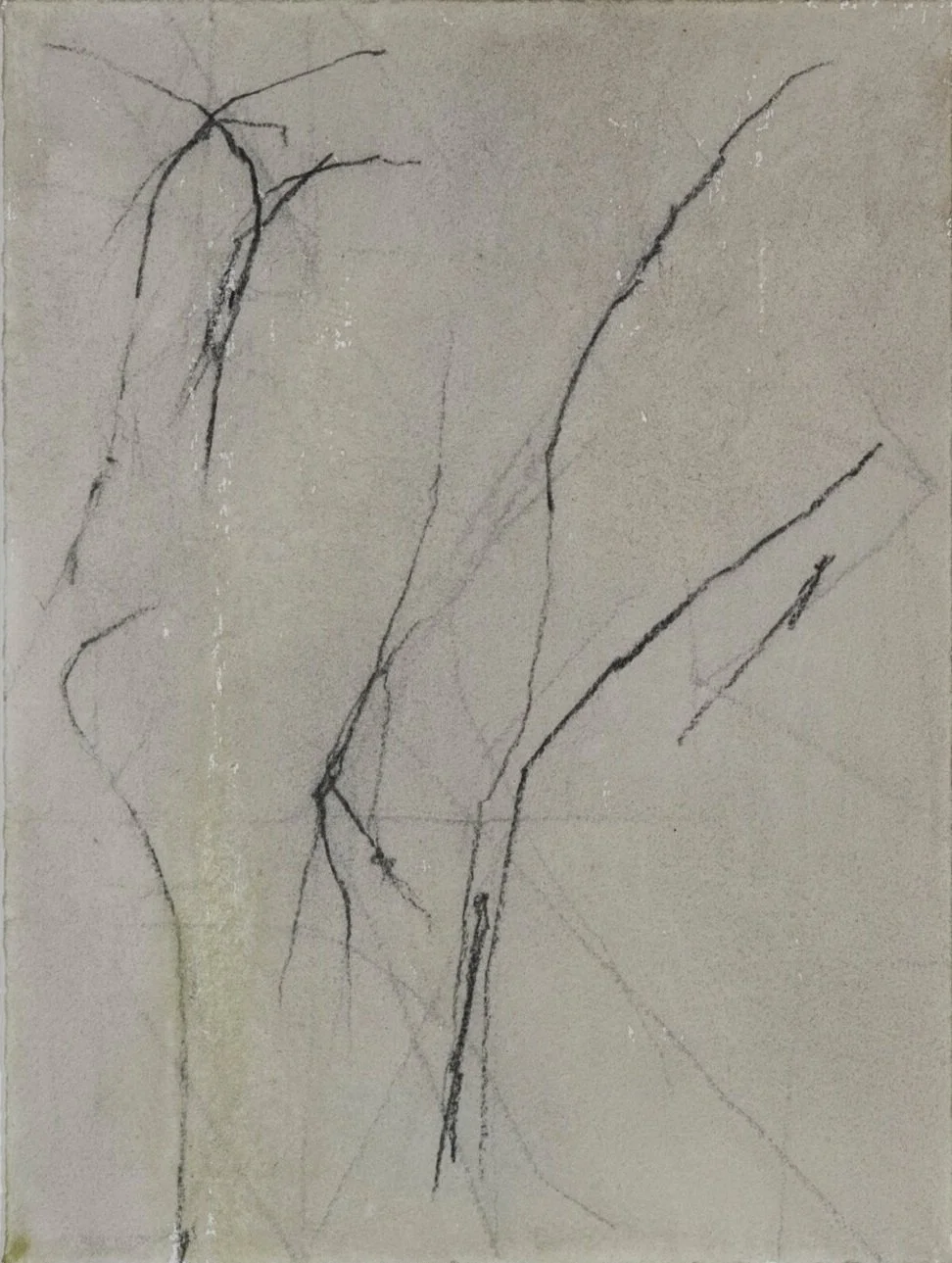 TS-D195.jpg