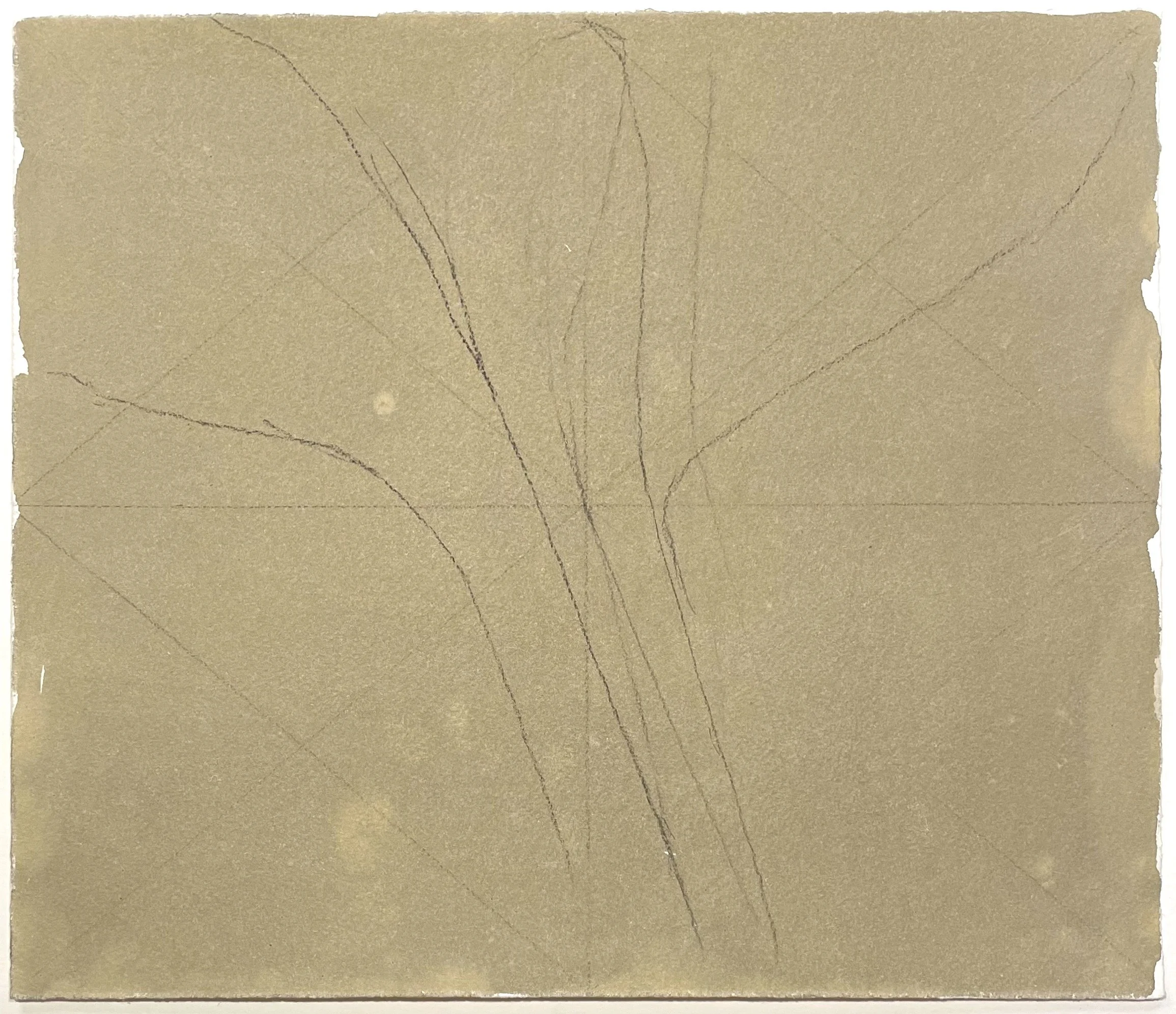 Drawing Study After Painting